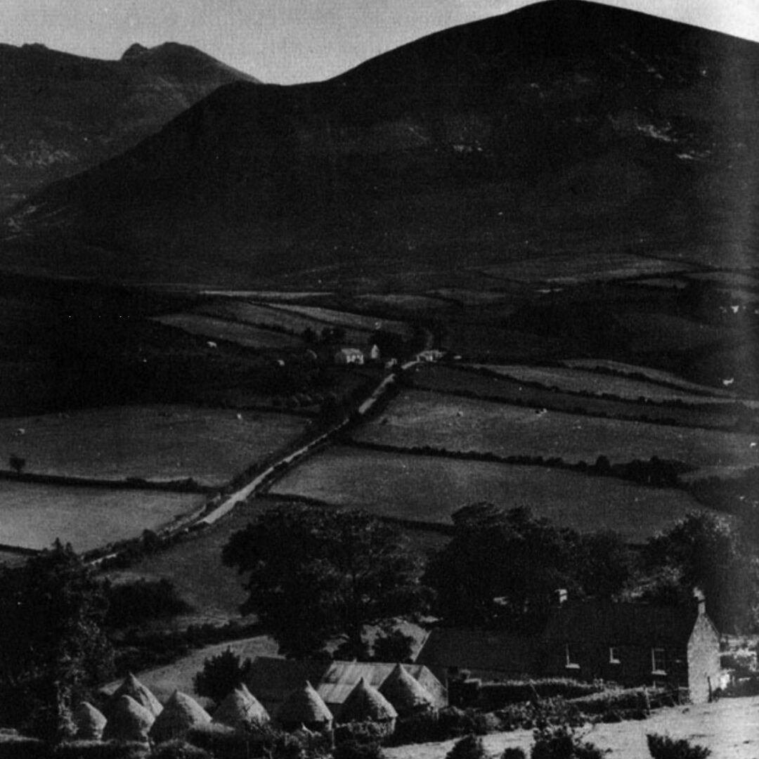 A valley farm in County Down. Hay stacks are neatly thatched. Fields are bordered with hawthorn hedgerows or with rock fences like those in New England.