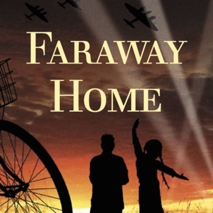 Cover image of 'Faraway Home' by Marilyn Taylor, published in 1999 by O'Brien Press.