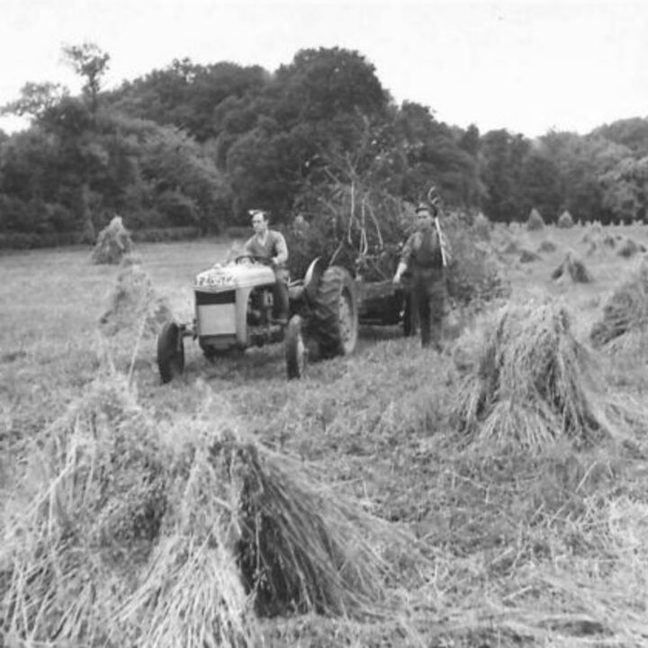 British Army soldiers at work with a tractor and harvester bringing in brushwood as a foundation for stooks on a ten-acre field of oats near an Ordnance Store site at White Lodge, Shane's Castle, Randalstown, Co. Antrim.