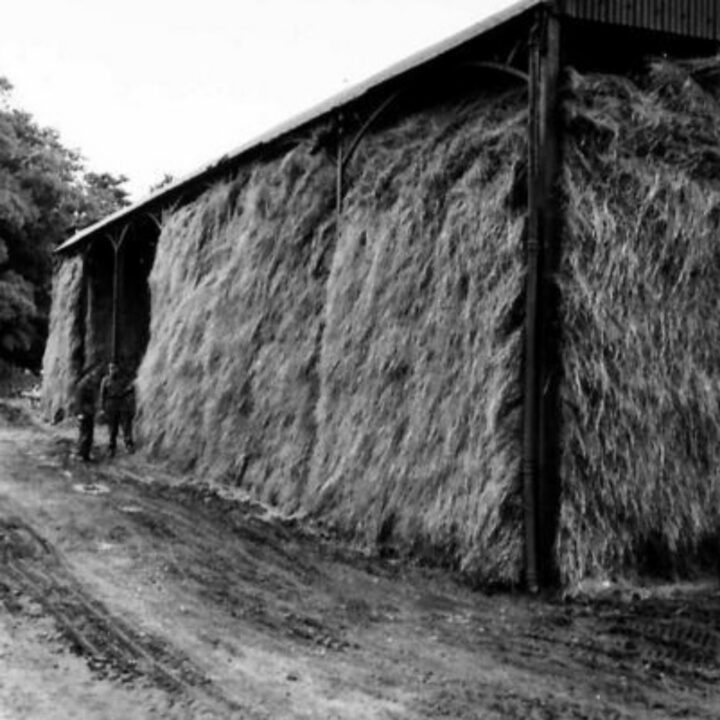 A Dutch barn holds the harvested crop of oats on a ten-acre field near an Ordnance Store site at White Lodge, Shane's Castle, Randalstown, Co. Antrim.