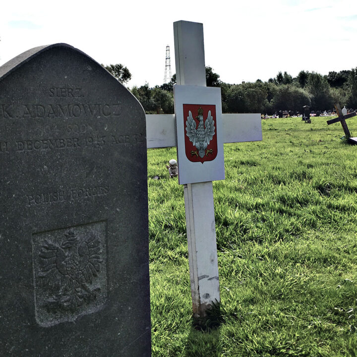 A plain white wooden cross marks stands next to the graves of Sergeant Klemens Adamawicz, a Polish member of the R.A.F., and Fusilier James Clifford in Milltown Cemetery on the Falls Road in West Belfast.