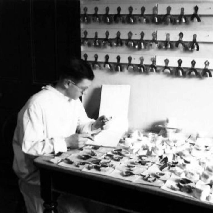 Military dentists working on checking off plaster models of teeth at an Army Dental Centre at 389-391 Antrim Road, Belfast. Such centres provide a service to the British Army and the Auxiliary Territorial Service that usually only the wealthy could afford.