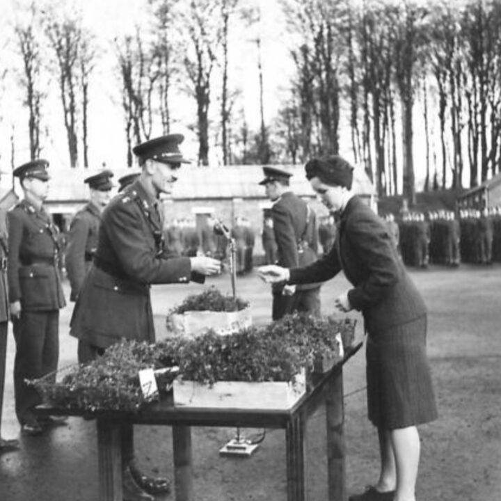 Lieutenant Colonel R.A. Heard M.C. receives the shamrock from his wife Mrs. Heard. The event is the presentation of the St. Patrick's Day Shamrock by Mrs. Heard, wife of Lieutenant Colonel R.A. Heard M.C., Commandant of 25th Infantry Training Centre to soldiers in Omagh, Co. Tyrone.