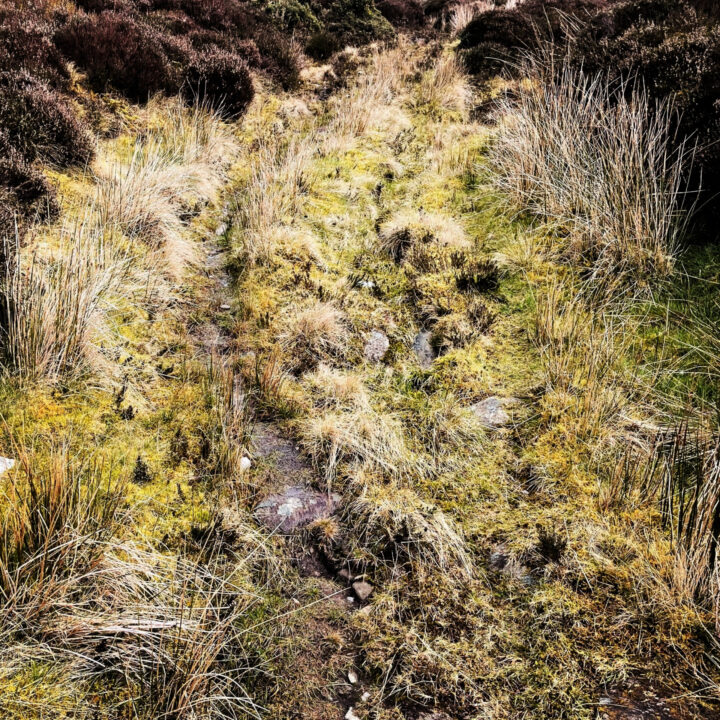 Remains of the road dug into the Sperrin mountains by 61st Divisional Engineers in 1942 remain visible more than eight decdes later.