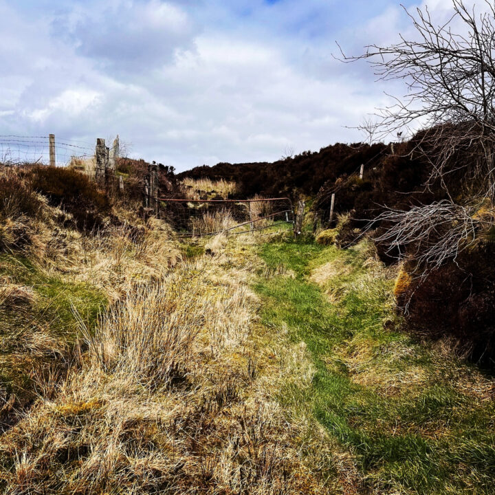 Remains of the road dug into the Sperrin mountains by 61st Divisional Engineers in 1942 remain visible more than eight decdes later.