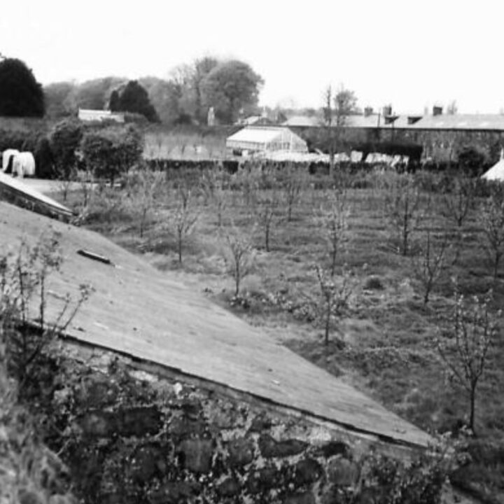 Fruit trees in a walled garden on farmland near Shane's Castle, Randalstown, Co. Antrim. During the Second World War, soldiers based in Northern Ireland received tuition in agricultural techniques to help with the war effort.