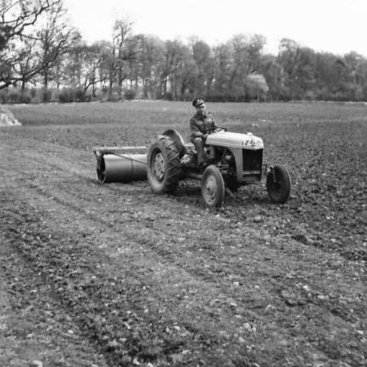 A soldier on a tractor rolls a 20-acre field on farmland near Shane's Castle, Randalstown, Co. Antrim. During the Second World War, soldiers based in Northern Ireland received tuition in agricultural techniques to help with the war effort.