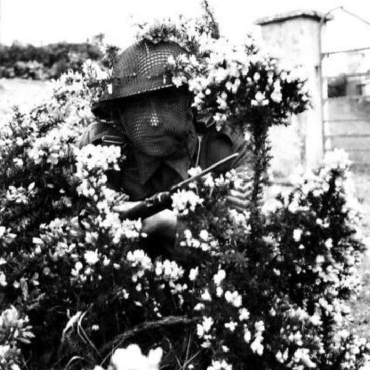 A British Army sergeant with rifle and fixed bayonet wearing camouflage veiling takes cover behind a bush during training in Northern Ireland.